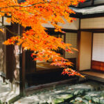 Traditional Japanese house with shoji doors and a wooden engawa, framed by vibrant orange autumn maple leaves.