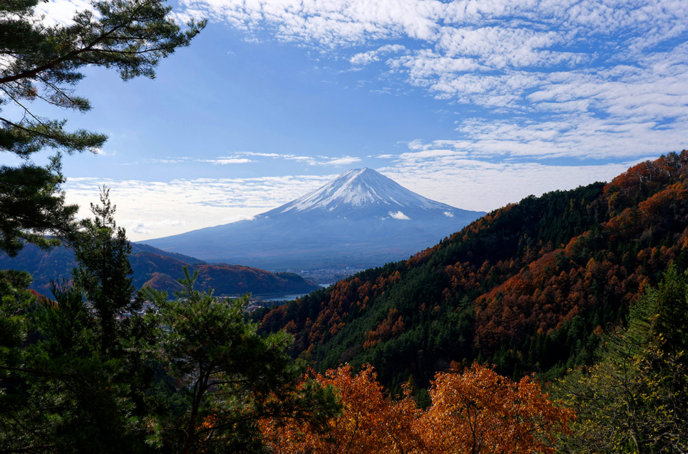 A breathtaking view of Mount Fuji surrounded by vibrant autumn foliage, showcasing the beauty of nature in fall