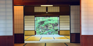 Traditional Japanese tatami room with shoji sliding doors open to a garden view featuring a pine tree.