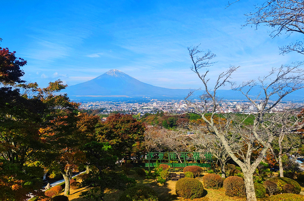 Panoramic view of Mount Fuji behind a town and autumn foliage.